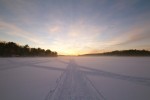 promise of summer