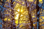 December Blues and Golds by John Polzer