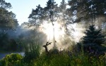 Sun & Mist